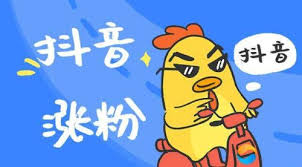 不投Dou+、不互关，普通人还能靠抖音涨粉吗？