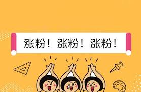 5 个涨粉技巧，亲测有效