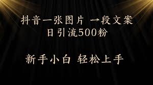 想快速涨粉？很多人已经在用这个办法